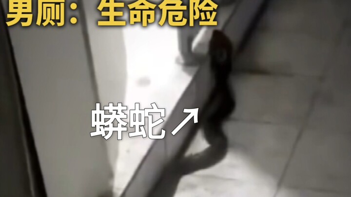 Women’s Restroom: Privacy at Risk  Men’s Restroom: Life-Threatening Risks