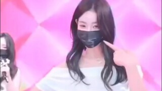 Panda Class Korea #5