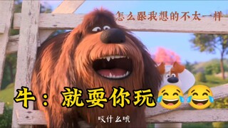 牛: 耍你玩，跟耍狗一样。