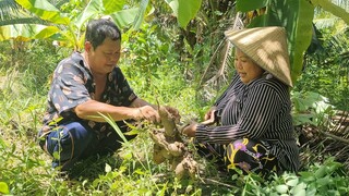 Canh Khoai Mì Kèm Rau Bồ Ngót Thêm Dĩa Khô Lù Đù Bữa Cơm Ngon Trong Mùa Dịch| TKQ & Family T697