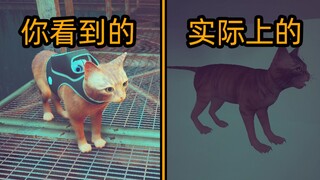 สิ่งที่มีอยู่จริงในเกมแต่ไม่ได้บอกผู้เล่น [Lost Stray]