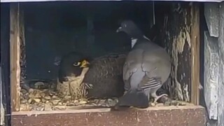 Sekarang Anda sudah di sini, manfaatkanlah sebaik-baiknya