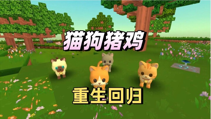 Mini major update! The Pig and Chicken are back, and new animals—cats, dogs, and rabbits—are joining