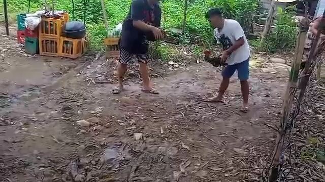 kinulang sa abang
