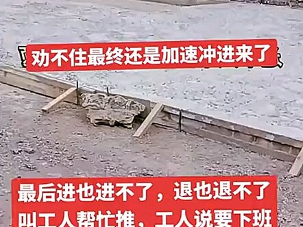 劝不住的人 管它干嘛