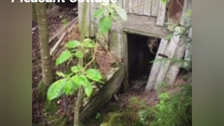 Voices and sounds of Trevor Henderson's Creatures (Part 139)