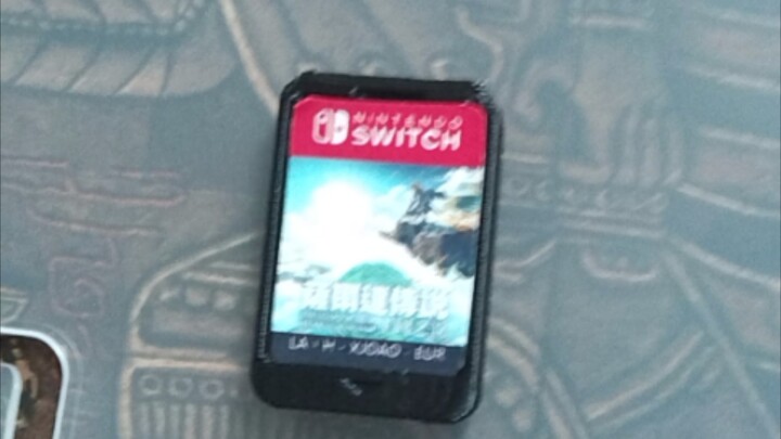 “On the Matter of Purchasing a Pirated Version of Tears of the Kingdom on Pinduoduo”