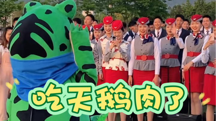 Flight Attendant: We’re all polite people—when we see a frog, we bow in return; proper etiquette mus