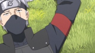 Nghề nghiệp hiện đại của Ninja