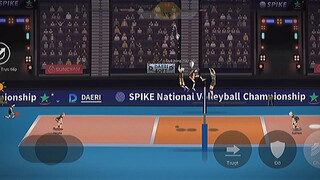 The Spike Volleyball