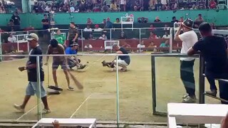 second fight win 3/19/25
