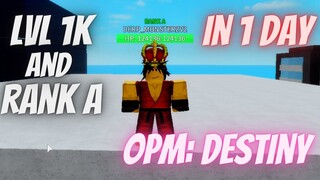 I HITTED LEVEL 1K IN 1 DAY AND OBTAINED RANK A | ONE PUNCH MAN: DESTINY | ROBLOX