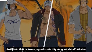 Bí Ẩn Về Cựu Đô Đốc Aokiji - Nguồn Gốc & Sức Mạnh-Tiền Truy Nã-Phân Tích One Pie