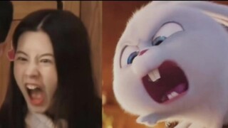 Trần Đô Linh của chúng ta thực sự rất cần tình cảm đó ~