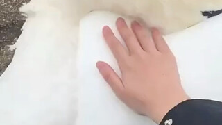 反应一定得快，不然废手