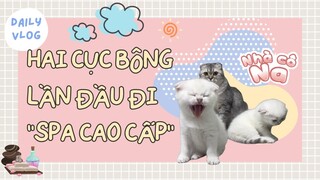 Nhà cô Na - #2 - Ba mẹ Bi Mon dẫn hai cục bông đi "Spa cao cấp"