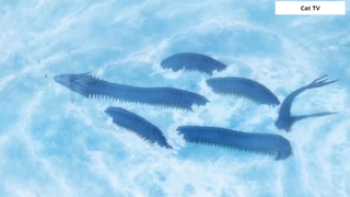 Tóm tắt anime hay _ 7 Giác Quan Của Subaru _ Shichisei No Subaru 9