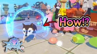 [ROR] How to Get Pet Aura Effect!? And Types Of Pet Aura Explained | King Spade