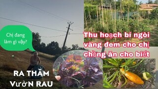 Thăm vườn rau/thu hoạch bí ngòi vàng cho chị chồng ăn thử/cuộc sống pháp/thôn quê nước pháp