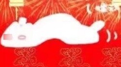 The reinforced concrete network port of Tianxuan 3...