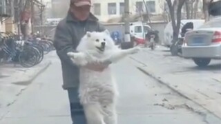 The cats and dogs my grandparents had in those years...