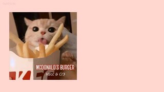 MCDONALD'S BURGER SONG LYRICS