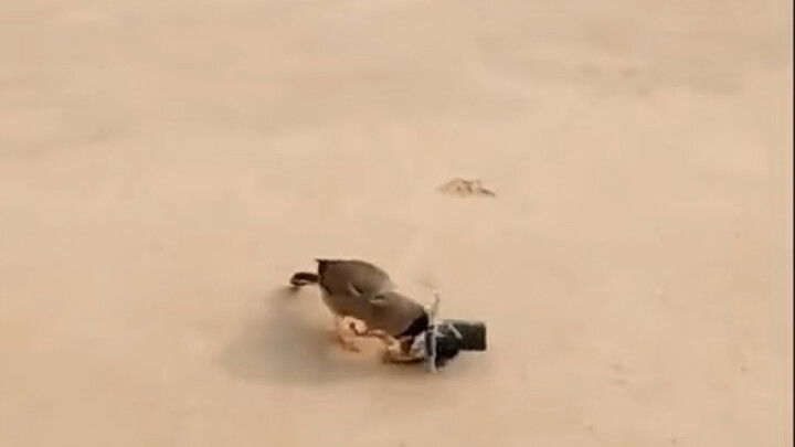 Shan Hai Jing benar-benar nggak bohong sama aku hahaha