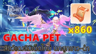 Ragnarok Origin | EP#25 สุ่มสัตว์แดง 860 ใบ LE ใหม่สุดโหดเมต้า ฮูกขาว-ดำ ออกวนแค่2ตัว !!