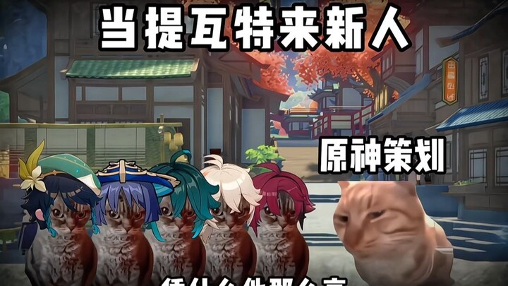 让我们有请新人入场