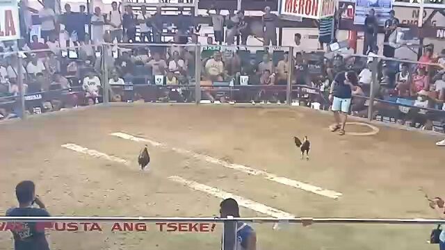 champion 2 hits