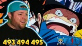 Luffy Meets Ace & Sabo! One Piece REACTION - Episode 493, 494, & 495