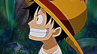 Luffy 😎