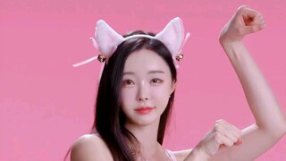 想养猫嘛？