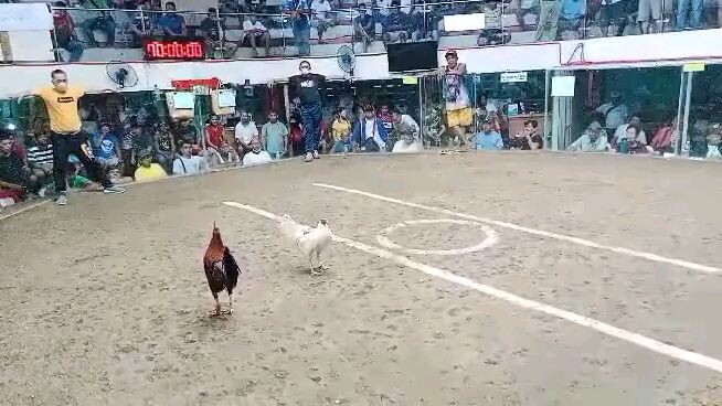 Codename: "Push-Up" strike again at Texas Cockpit Arena, Marikina City