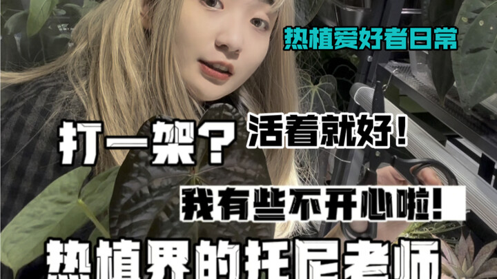 热植爱好者的日常｜每天真的好忙碌！一不留神植物又长高了！！！龙舌兰天天扎我的手！但是好在它们活下来啦！