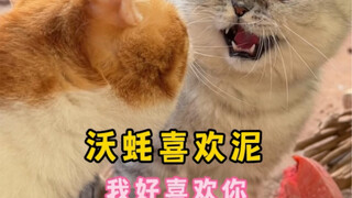 Ya~ Wo Hao suka lumpur~