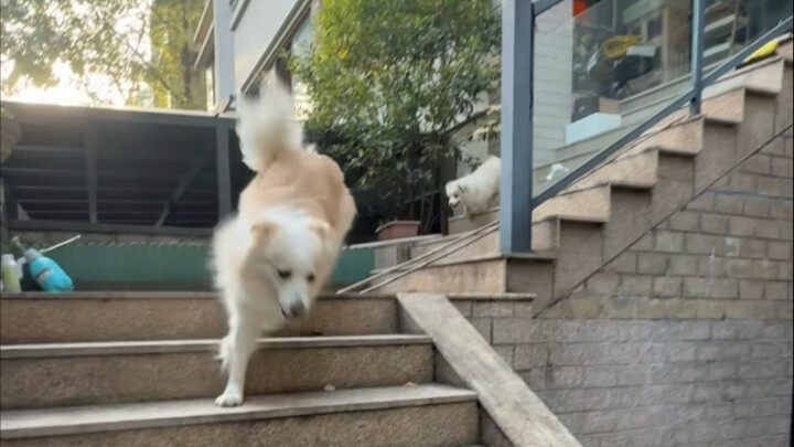 Trần Bê La sắp có bãi cỏ của riêng mình rồi