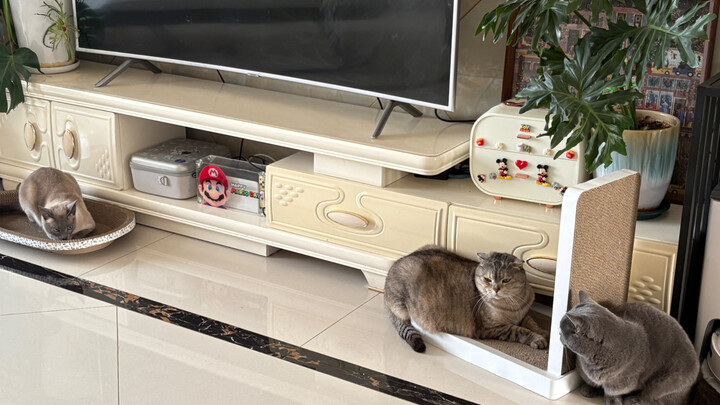 It’s Chinese New Year—time to take a quick shower! Speed is key; my back feels like it’s about to sn