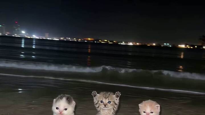 When the beach turns into an unscheduled dance floor.