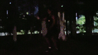 深夜鲲舞（原声大碟）