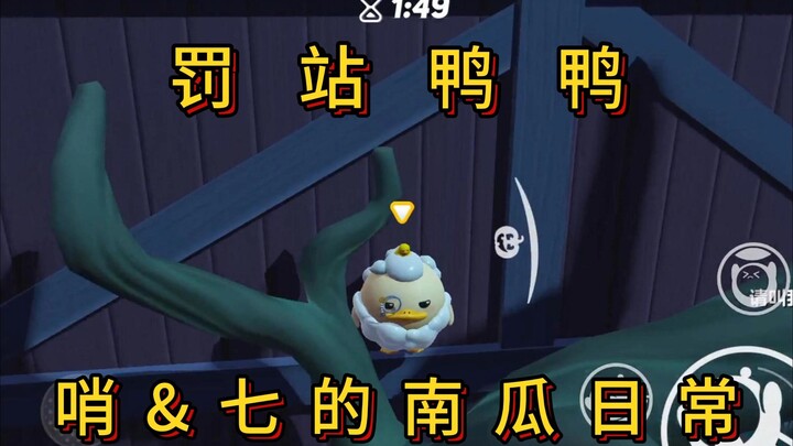 【南瓜入侵】鸭鸭罚站！小金毛心眼子多着嘞！！