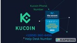 KuCoin Help Crypto Support Phone Number (858)-360–4456 New York