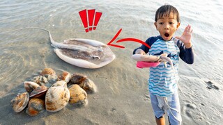 หาสัตว์ชายหาดบางแสน จับหอยมาทำอาหาร | พี่ปลื้ม