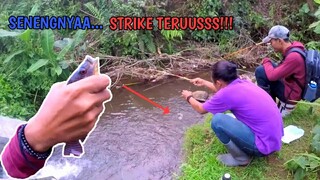 MANTAPP..!! HARI INI BANYAK STRIKE BROO || ASYIKNYA MANCING DI DESA