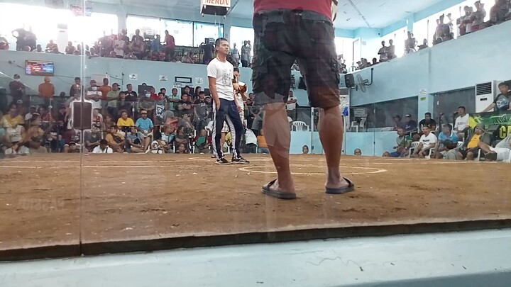 HACKFIGTH SANATEO COCKPIT (WINNER BLUES)