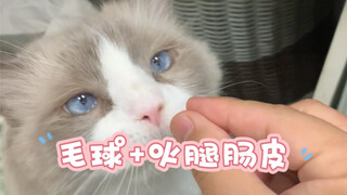 I just took my cat for a checkup, and unexpectedly found so much stuff in its belly!