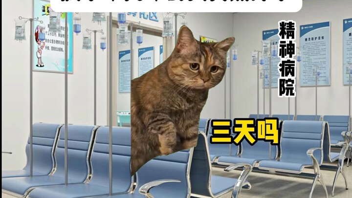 คนที่เป็นบ้ามานานนับสิบปี จู่ๆ ก็หายดี