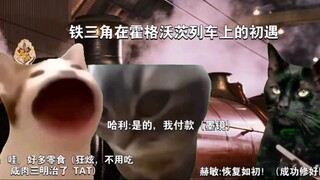 【哈利波特生贺/猫meme】“生长痛”