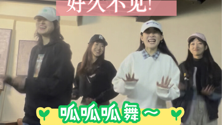 齐不了女团，年前回归～