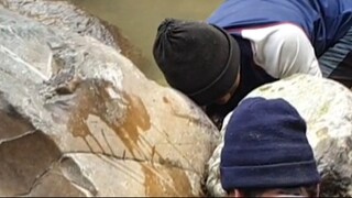 duwali fishing in Nepal | himalayan trout fishing technique |